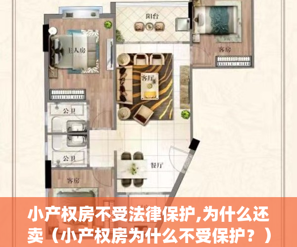 小产权房不受法律保护,为什么还卖（小产权房为什么不受保护？）(小产权房既然不合法为何还可以买卖)