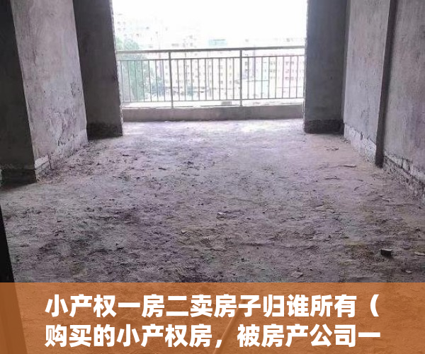 小产权一房二卖房子归谁所有（购买的小产权房，被房产公司一房二卖怎么维权？）