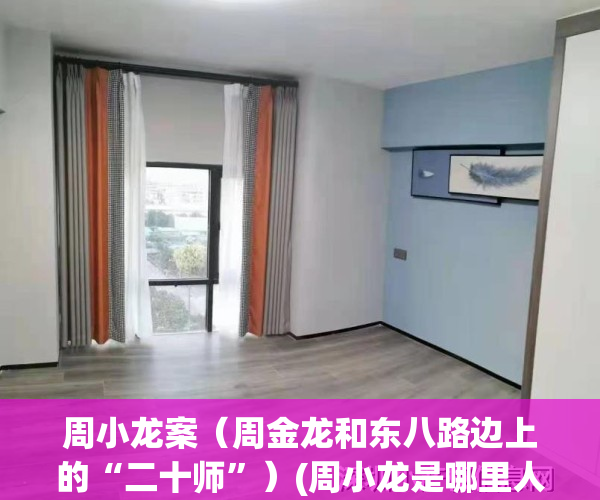 周小龙案（周金龙和东八路边上的“二十师”）(周小龙是哪里人)