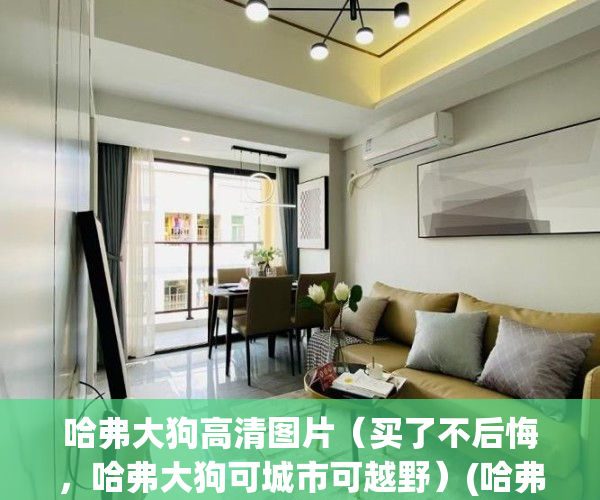 哈弗大狗高清图片（买了不后悔，哈弗大狗可城市可越野）(哈弗大狗高清壁纸)