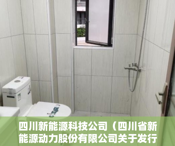 四川新能源科技公司（四川省新能源动力股份有限公司关于发行股份购买资产并募集配套资金暨关联交易申请获得深圳证券交易所受理的公告）