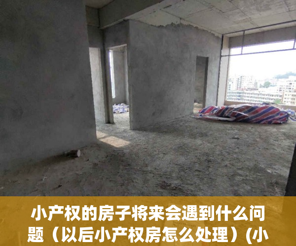 小产权的房子将来会遇到什么问题（以后小产权房怎么处理）(小产权未来会怎样)