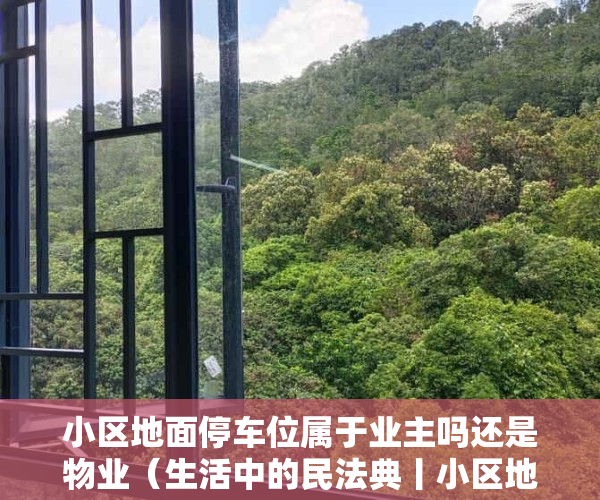 小区地面停车位属于业主吗还是物业（生活中的民法典丨小区地面停车位，归谁？）