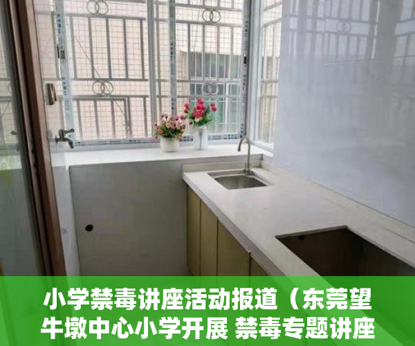 小学禁毒讲座活动报道（东莞望牛墩中心小学开展 禁毒专题讲座及宣传活动）