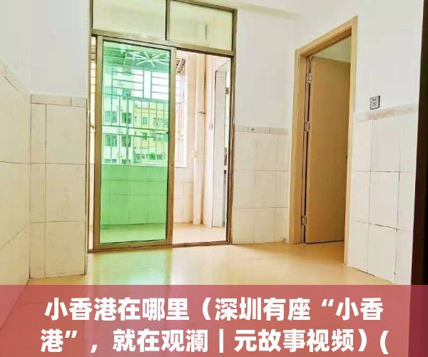 小香港在哪里（深圳有座“小香港”，就在观澜｜元故事视频）(深圳小香港是哪里)