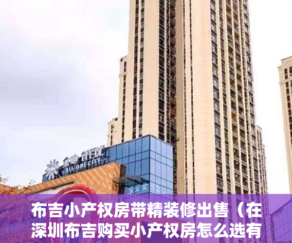 布吉小产权房带精装修出售（在深圳布吉购买小产权房怎么选有哪些楼盘可选）