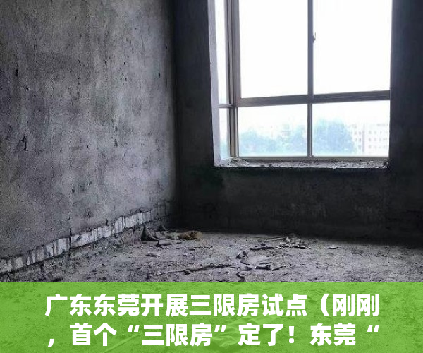 广东东莞开展三限房试点（刚刚，首个“三限房”定了！东莞“半价买房”来了！）