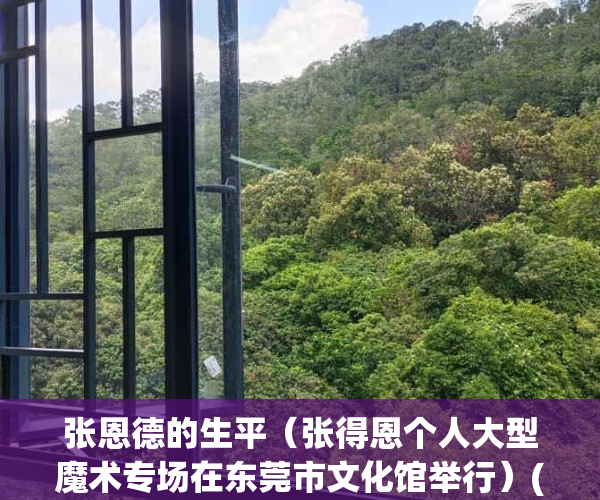 张恩德的生平（张得恩个人大型魔术专场在东莞市文化馆举行）(张恩岱 百度百科)