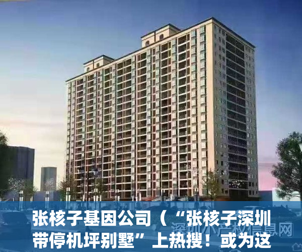 张核子基因公司（“张核子深圳带停机坪别墅”上热搜！或为这个小区）(张核子 深圳市核子基因科技有限公司)