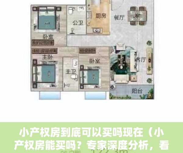 小产权房到底可以买吗现在（小产权房能买吗？专家深度分析，看完什么都明白了）