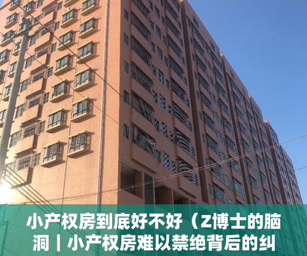 小产权房到底好不好（Z博士的脑洞｜小产权房难以禁绝背后的纠缠和博弈）