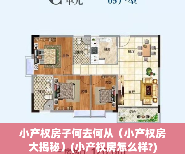 小产权房子何去何从（小产权房大揭秘）(小产权房怎么样?)