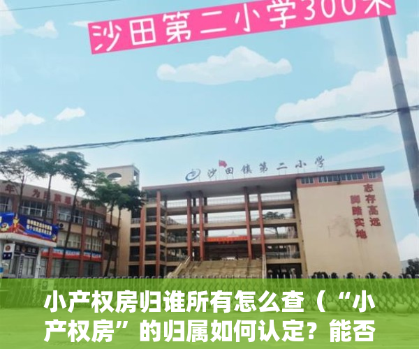 小产权房归谁所有怎么查（“小产权房”的归属如何认定？能否作为遗产继承？）
