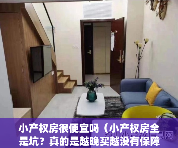小产权房很便宜吗（小产权房全是坑？真的是越晚买越没有保障!）(小产权房是不是便宜)