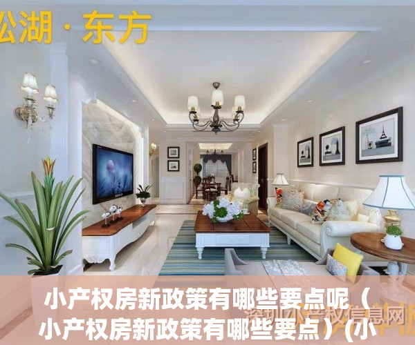 小产权房新政策有哪些要点呢（小产权房新政策有哪些要点）(小产权房新规定)
