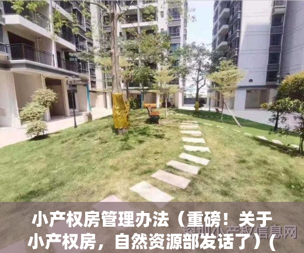 小产权房管理办法（重磅！关于小产权房，自然资源部发话了）(小产权房政府如何处理?)