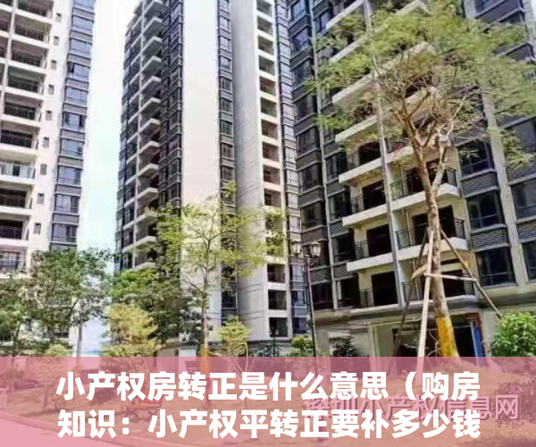 小产权房转正是什么意思（购房知识：小产权平转正要补多少钱 小产权能不能按揭贷款）