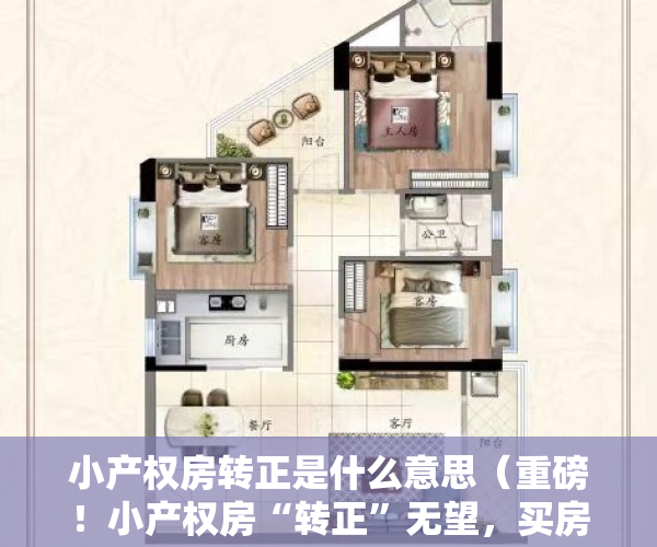 小产权房转正是什么意思（重磅！小产权房“转正”无望，买房可要擦亮眼了！）