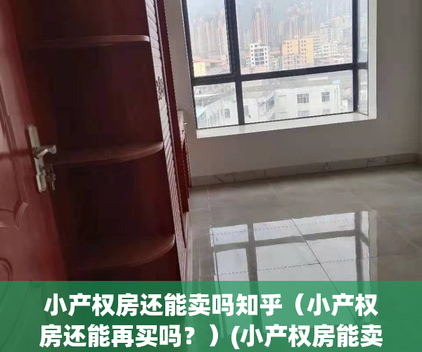 小产权房还能卖吗知乎（小产权房还能再买吗？）(小产权房能卖掉吗)