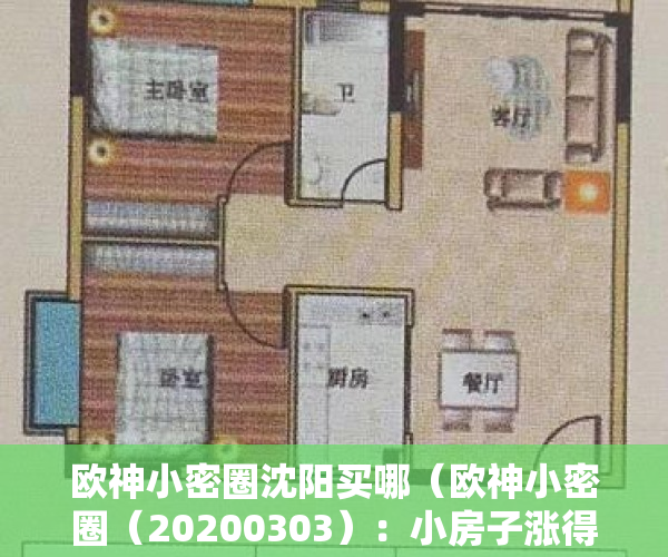 欧神小密圈沈阳买哪（欧神小密圈（20200303）：小房子涨得快，且安全。）