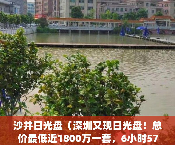 沙井日光盘（深圳又现日光盘！总价最低近1800万一套，6小时57亿售罄）(沙井灯光秀表演在哪里)