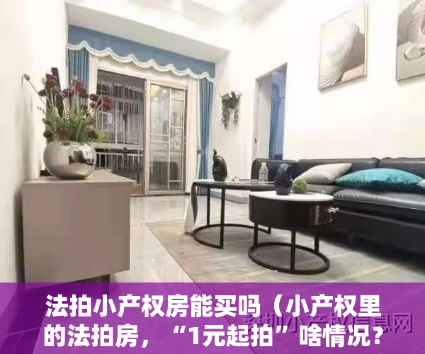 法拍小产权房能买吗（小产权里的法拍房，“1元起拍”啥情况？没那么容易捡到“便宜”）