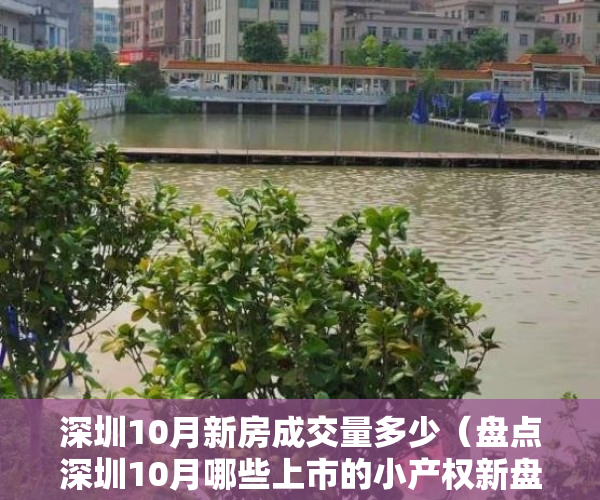 深圳10月新房成交量多少（盘点深圳10月哪些上市的小产权新盘，最后一个楼盘居然赠送学位？）