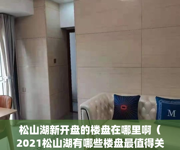 松山湖新开盘的楼盘在哪里啊（2021松山湖有哪些楼盘最值得关注）(松山湖新建楼盘)