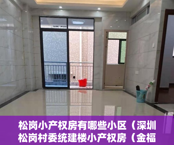松岗小产权房有哪些小区(深圳松岗村委统建楼小产权房(金福名苑)3栋村委房均价9200一平出售,可首付五成分三年,深圳地铁11号线松岗站300米统建楼)