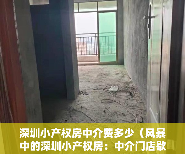 深圳小产权房中介费多少（风暴中的深圳小产权房：中介门店歇业，背后利益链复杂）