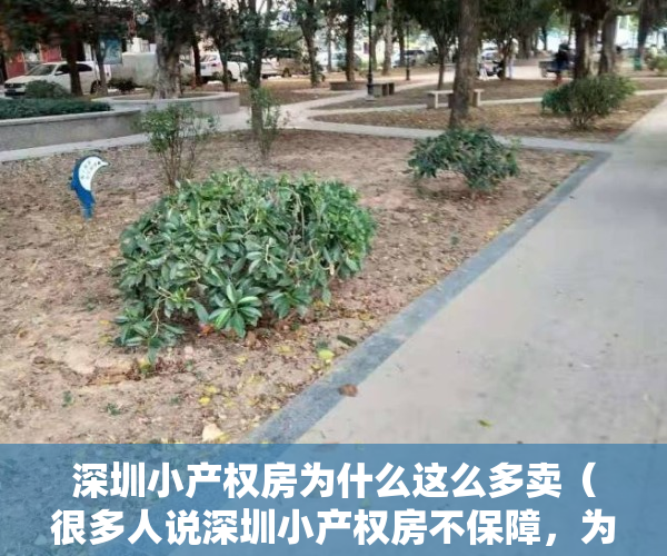 深圳小产权房为什么这么多卖（很多人说深圳小产权房不保障，为什么还有那么人敢买？）