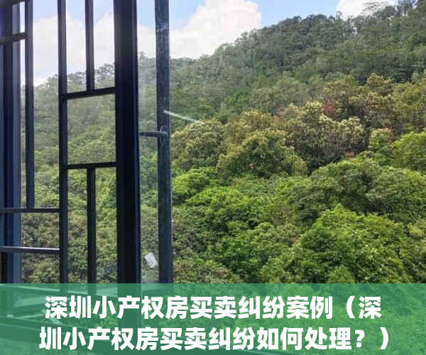 深圳小产权房买卖纠纷案例（深圳小产权房买卖纠纷如何处理？）(深圳小产权房买卖流程2019)