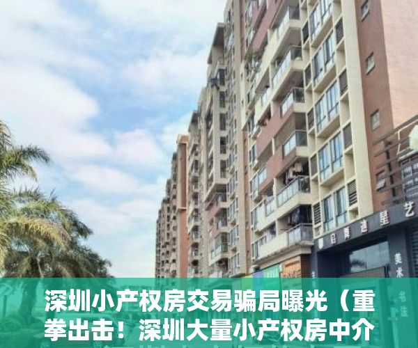深圳小产权房交易骗局曝光（重拳出击！深圳大量小产权房中介被查封）
