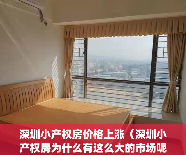 深圳小产权房价格上涨（深圳小产权房为什么有这么大的市场呢？）(深圳小产权房疯狂上涨的原因)