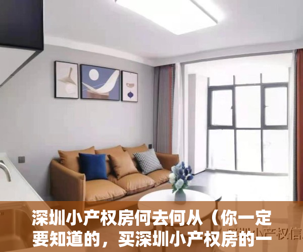 深圳小产权房何去何从（你一定要知道的，买深圳小产权房的一些常见骗局介绍！）