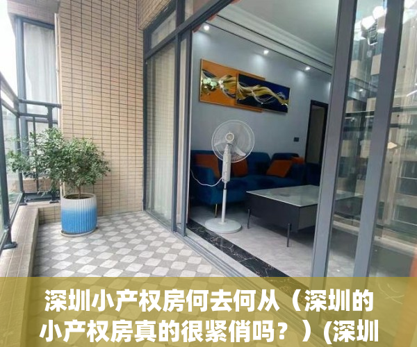 深圳小产权房何去何从（深圳的小产权房真的很紧俏吗？）(深圳小产权房的利弊)