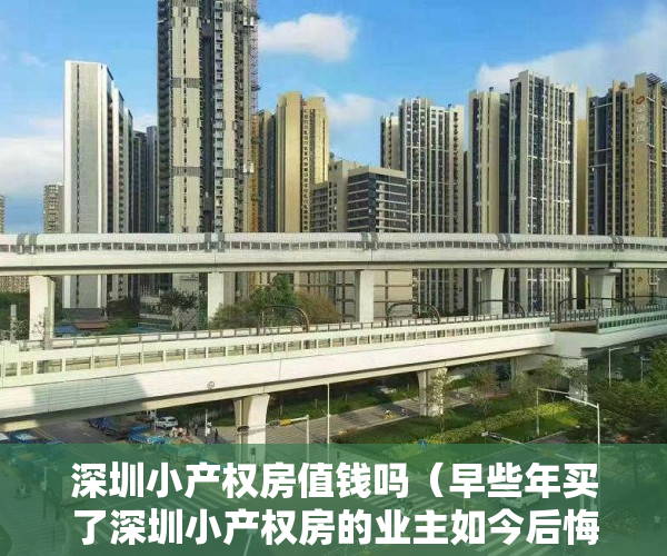 深圳小产权房值钱吗（早些年买了深圳小产权房的业主如今后悔了吗？）
