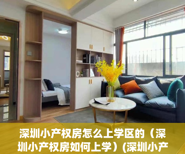 深圳小产权房怎么上学区的（深圳小产权房如何上学）(深圳小产权房入学申请属于几类)