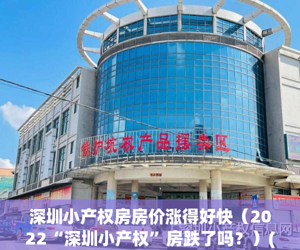 深圳小产权房房价涨得好快（2022“深圳小产权”房跌了吗？）(深圳小产权房爆涨)
