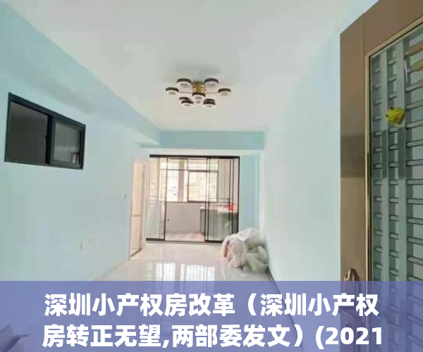 深圳小产权房改革（深圳小产权房转正无望,两部委发文）(2021年深圳小产权房政策解读)