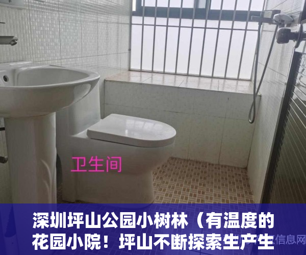 深圳坪山公园小树林（有温度的花园小院！坪山不断探索生产生活生态深融合的新实践）