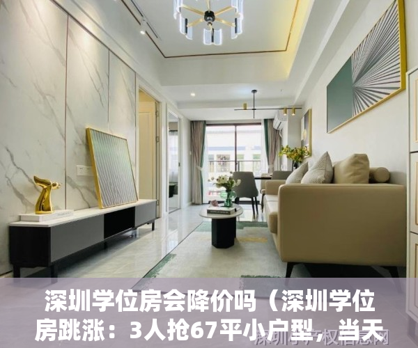 深圳学位房会降价吗（深圳学位房跳涨：3人抢67平小户型，当天760万全款成交）
