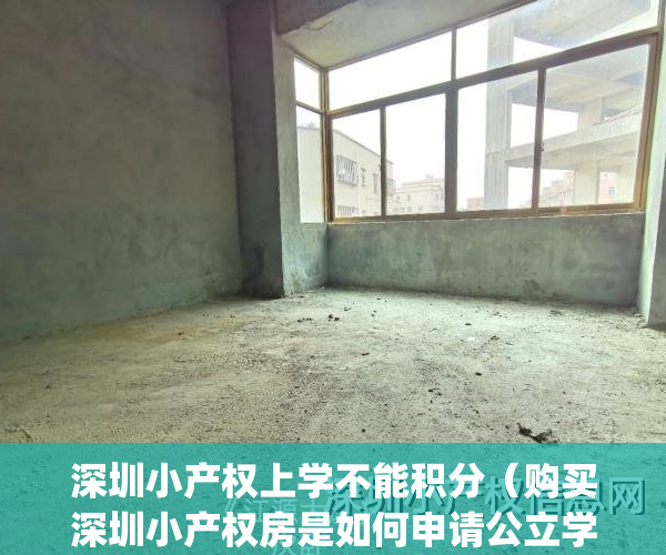 深圳小产权上学不能积分（购买深圳小产权房是如何申请公立学校？）(深圳小产权房学位政策)