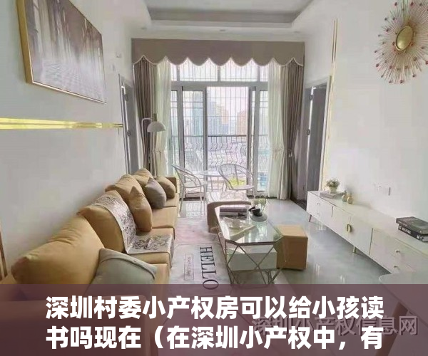 深圳村委小产权房可以给小孩读书吗现在（在深圳小产权中，有的村委房可以过户，有的为什么不行？）