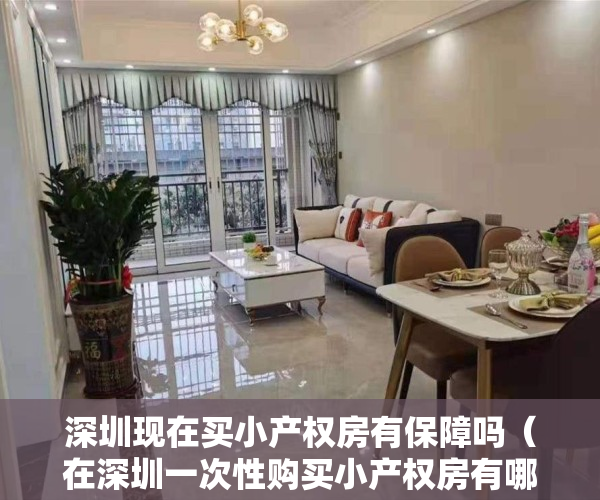 深圳现在买小产权房有保障吗（在深圳一次性购买小产权房有哪些好处）