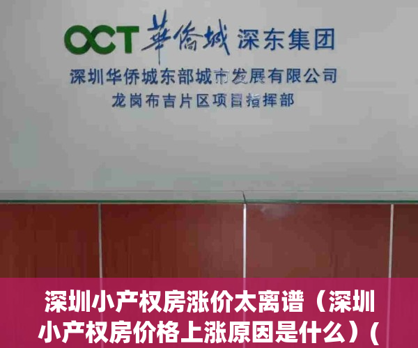 深圳小产权房涨价太离谱（深圳小产权房价格上涨原因是什么）(深圳小产权房房价涨得好快)