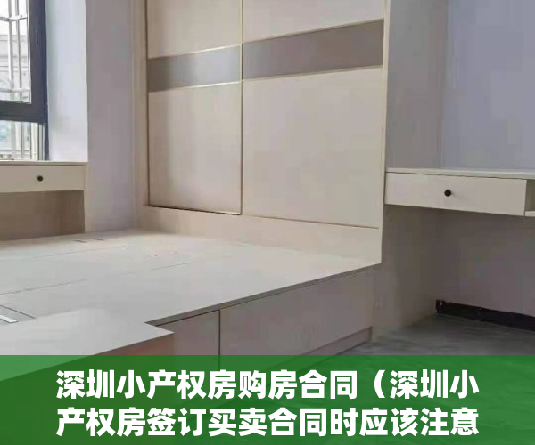 深圳小产权房购房合同（深圳小产权房签订买卖合同时应该注意什么？）