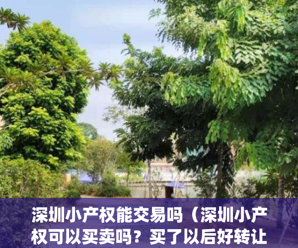 深圳小产权能交易吗（深圳小产权可以买卖吗？买了以后好转让吗？）(深圳小产权房可以卖吗?)