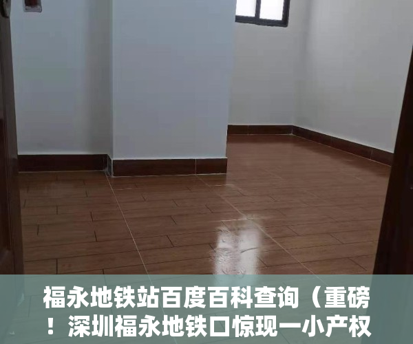 福永地铁站百度百科查询（重磅！深圳福永地铁口惊现一小产权新盘，户型方正，两房两厅仅50万）