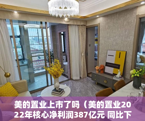 美的置业上市了吗（美的置业2022年核心净利润387亿元 同比下降29%）